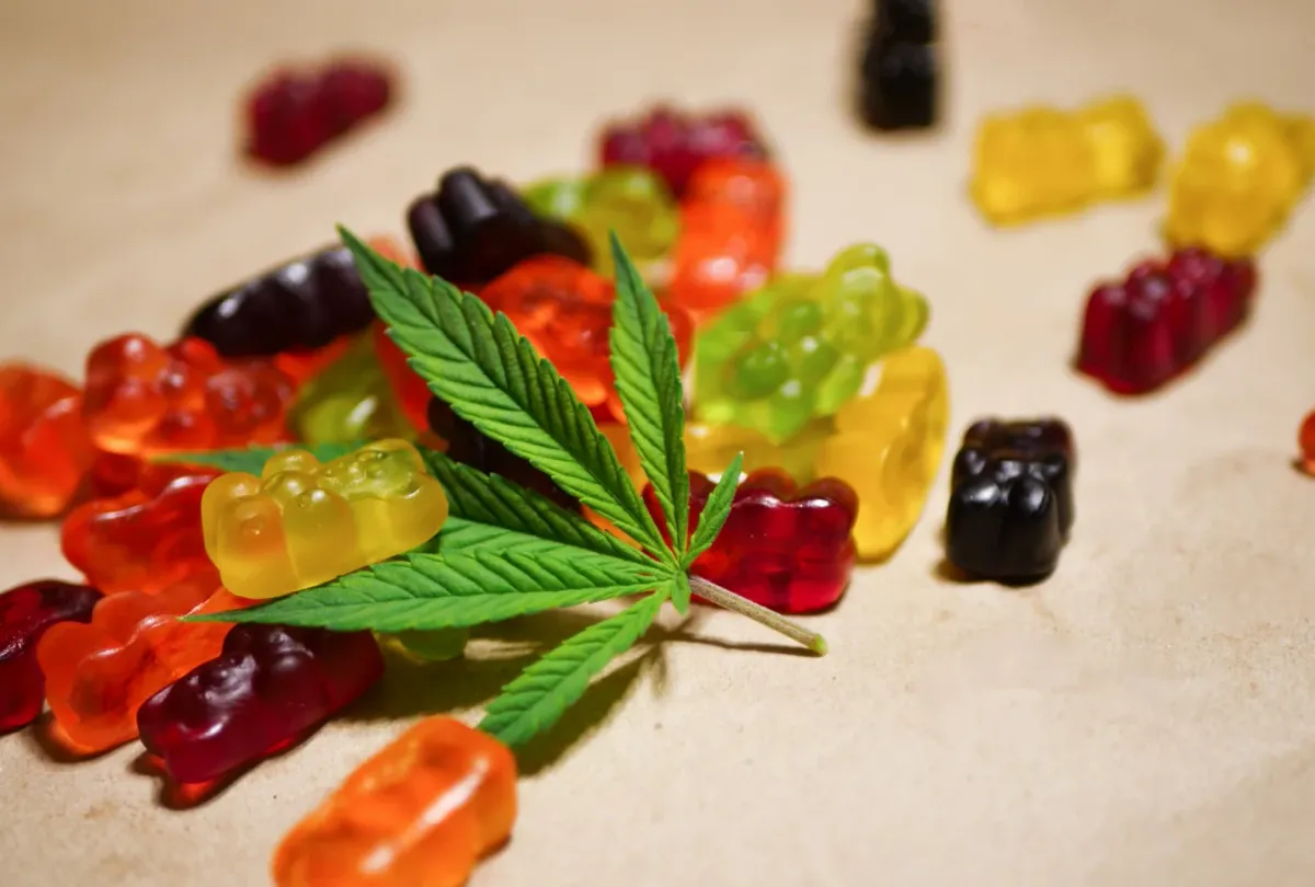 Evaluating the Effectiveness of CBD Gummies for Pain Relief